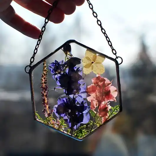 Popularny Botaniczny Obrazek