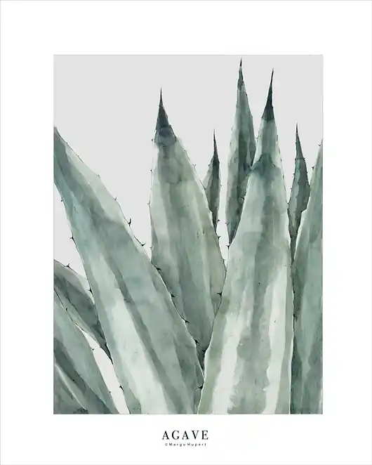 Agave 50x70 cm / Fine Art Print Zamów dziś