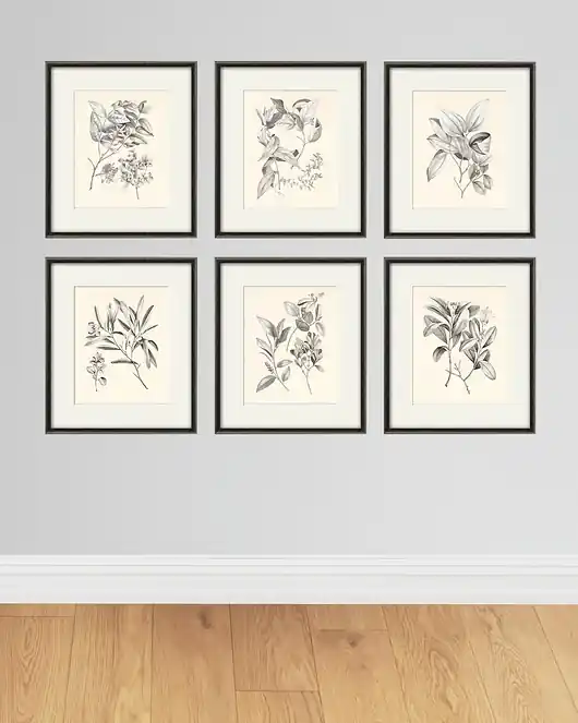 Zestaw Grafik Botanicznych Vintage Bestseller