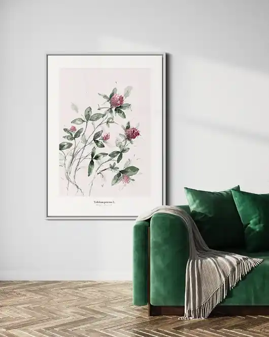 Niska cena Koniczyna /Fine Art print