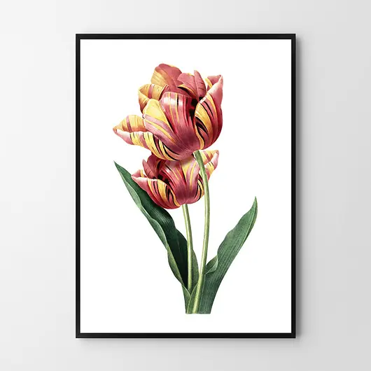 Tulipan - plakat vintage Bezpieczne zakupy