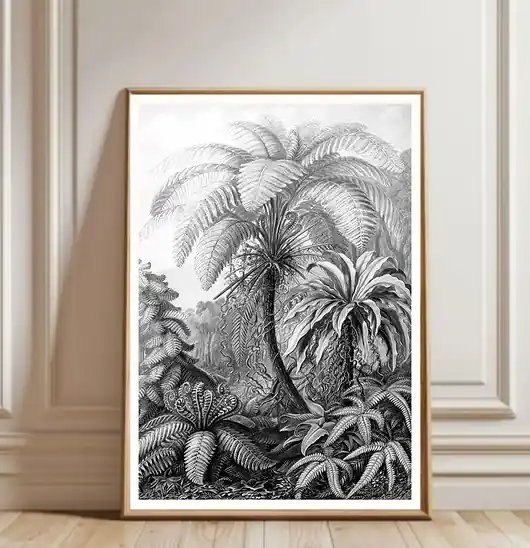 Zamów dziś PLAKAT ILUSTRACJA tropikalna dżungla vintage