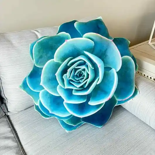 Poduszka Duży Sukulent Echeveria Turkusowy Szybka dostawa