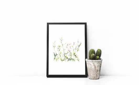 Okazja Łąka - plakat A4/A3