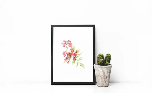 Jarzębina - plakat A4/A3 Najlepsza cena