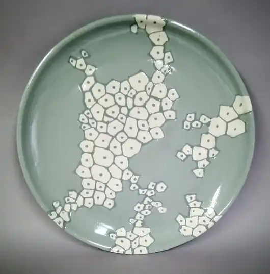 Szybka wysyłka Talerz Komórkowy 29cm
