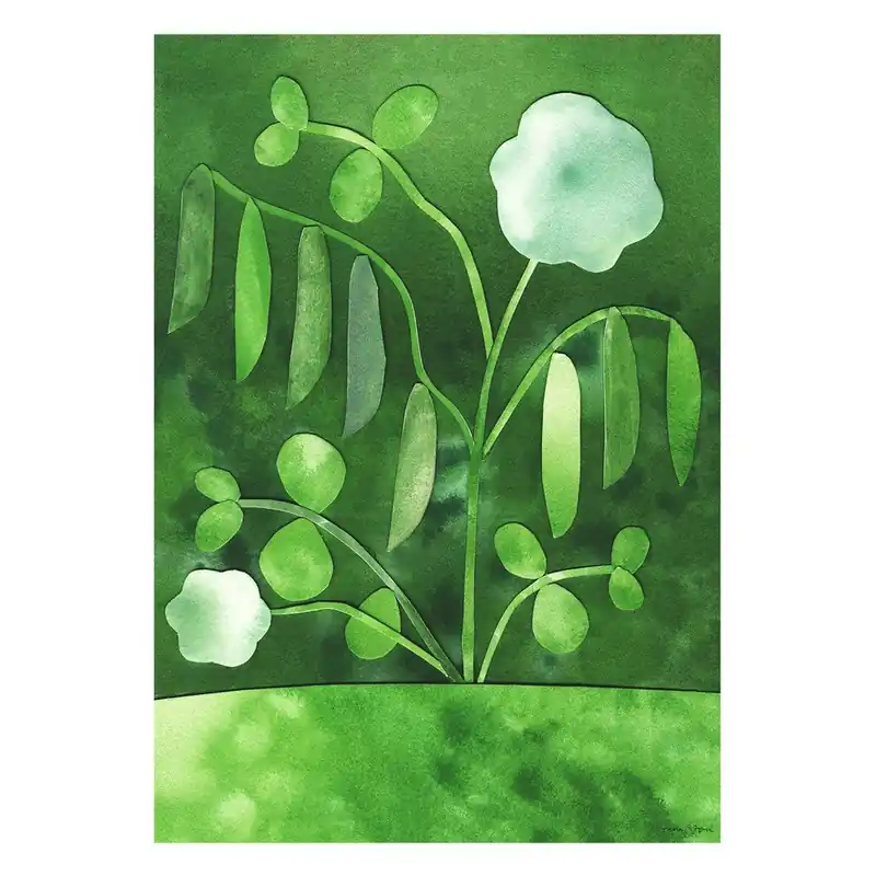 Cena promocyjna Plakat 50x70 cm Peas in Bloom – Anna Ravn Bjørn – The Poster Club Bonami