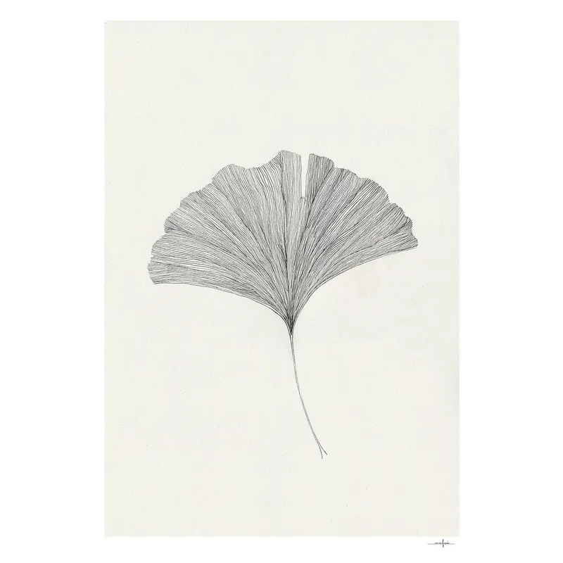 Plakat 50x70 cm Ginkgo Leaf – Ana Frois – The Poster Club Bonami Zniżka