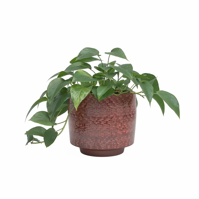 Zamów dziś Ceramiczna ręcznie wykonana osłonka na doniczkę ø 21 cm Minerva – Artevasi Bonami