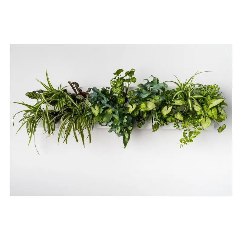 Dodaj do koszyka Pionowa doniczka HOH! z niewidzialnym uchwytem Trio Smart Bianco, 83x38 cm Bonami
