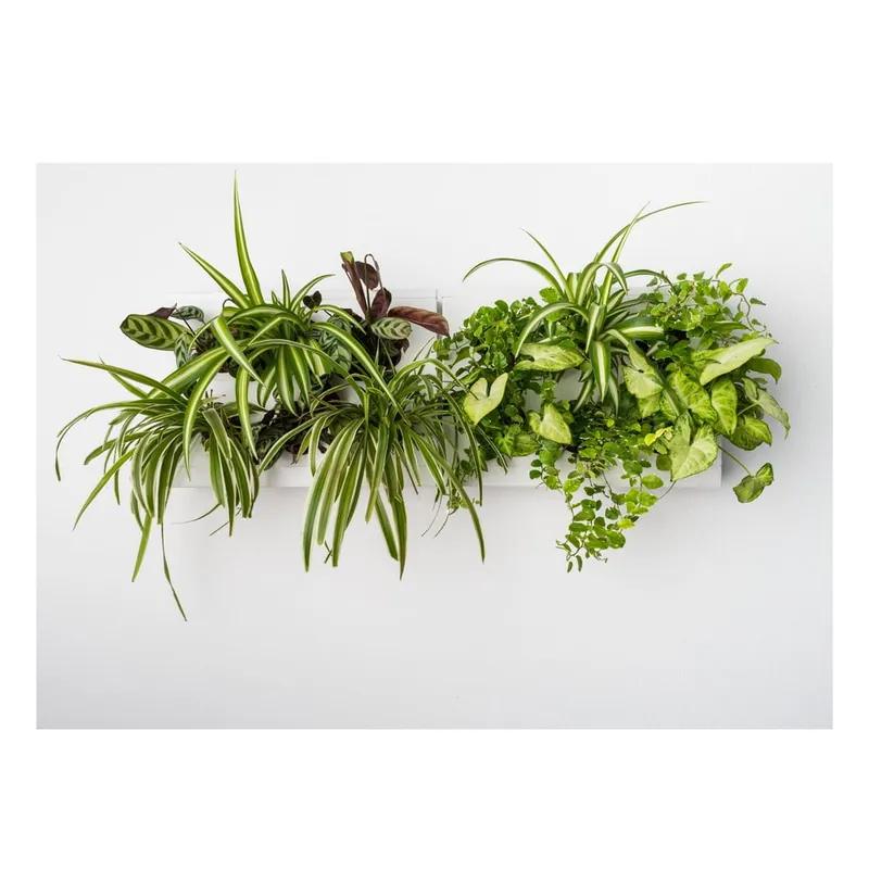 Nowy Pionowa doniczka z niewidzialnym uchwytem HOH! Duo Smart Bianco, 78x27 cm Bonami