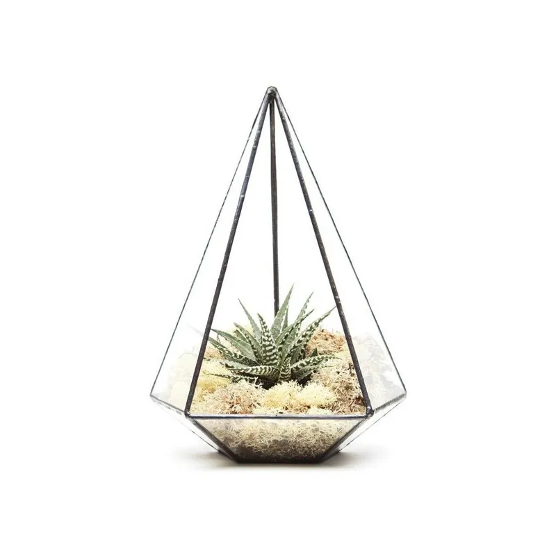 Terrarium z roślinami Jewel Bonami Nie przegap