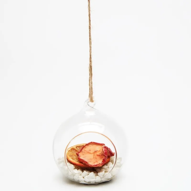 Terrarium z roślinami Fruit Bonami Popularny