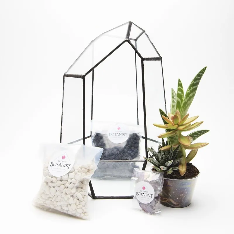 Najlepsza cena Terrarium z roślinami Aztec Gem DIY Bonami