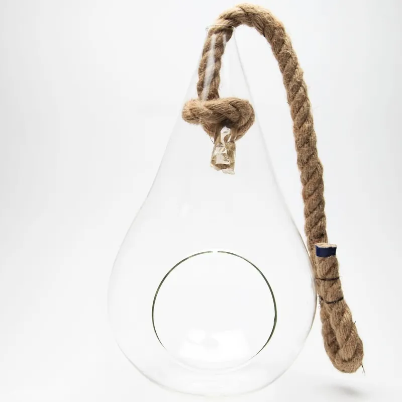 Wyprzedaż Terrarium z roślinami Pacific Tear Drop DIY Bonami