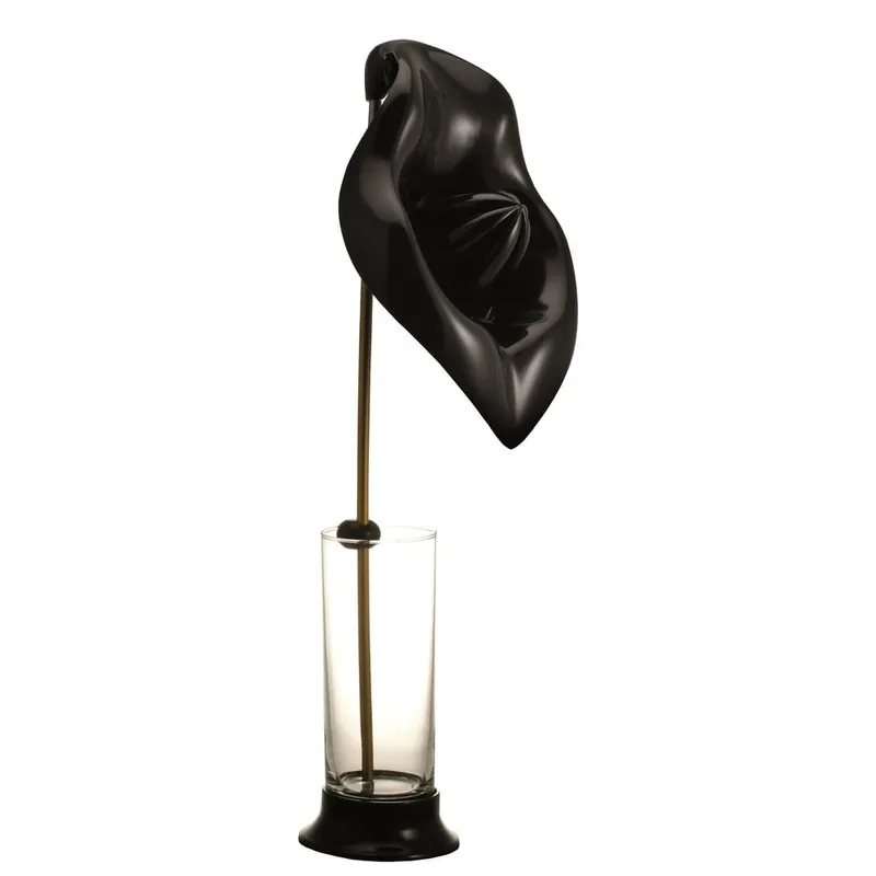Oferta limitowana Wyciskacz do soku Anthurium Black Bonami