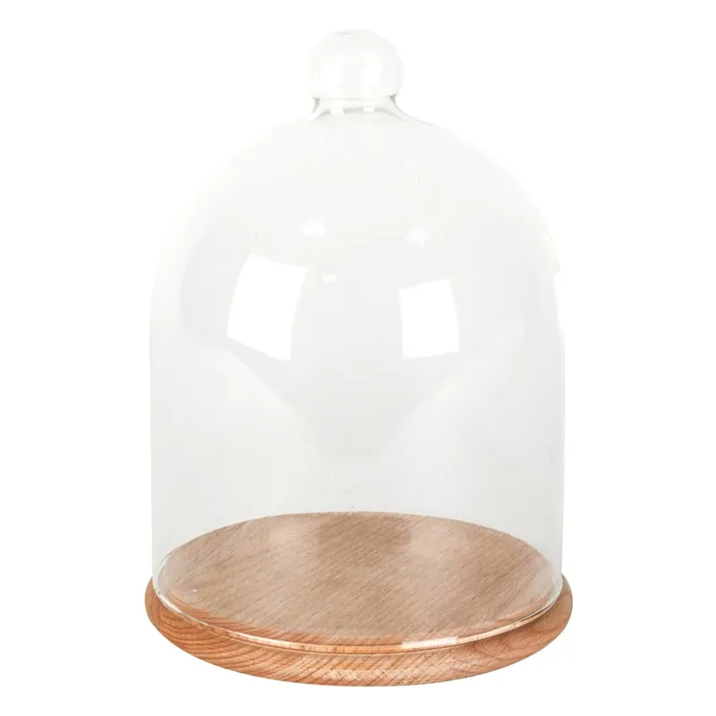 Taca ze szklanym kloszem ComingB Cloche, 15 cm Bonami Ostatnia szansa