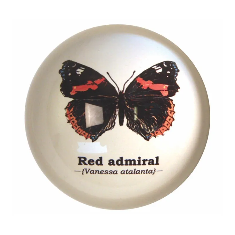 Tylko dziś Przycisk do papieru Gift Republic Butterflies Bonami