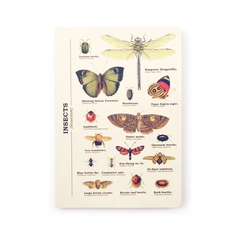 Oferta limitowana Notes Gift Republic Insects, rozm. A5 Bonami