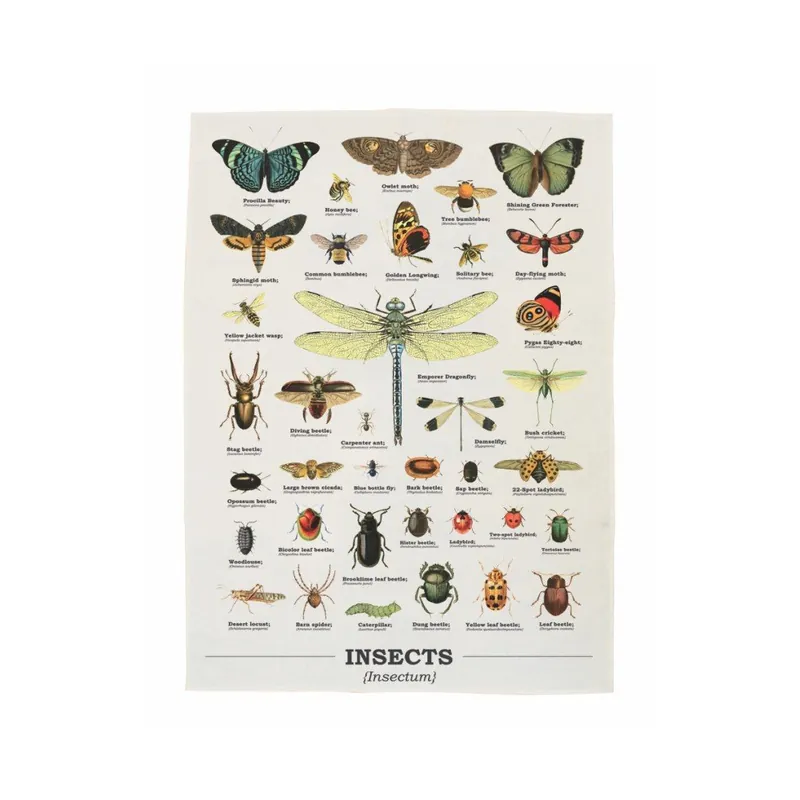 Ścierka Gift Republic Insects, 50x70 cm Bonami Szybka wysyłka