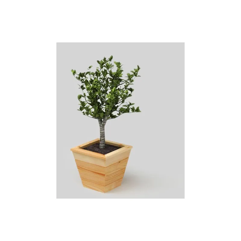 Naturalna doniczka Only Wood Vela Bonami Kup online